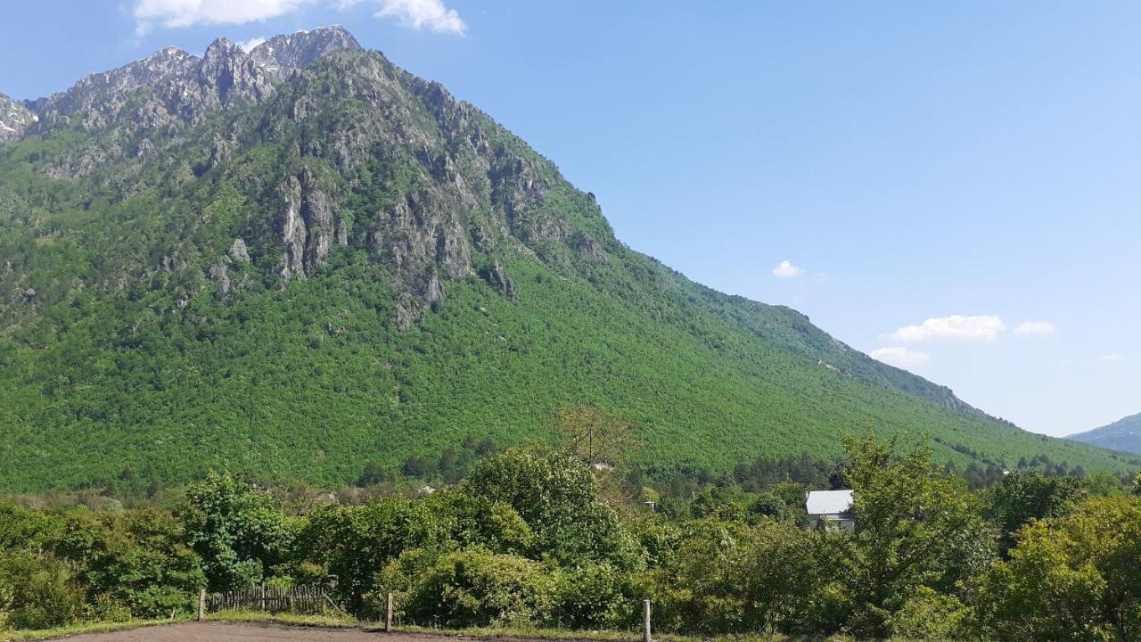 Hotel Driti Gh Nderlysa Shkodër Exteriér fotografie