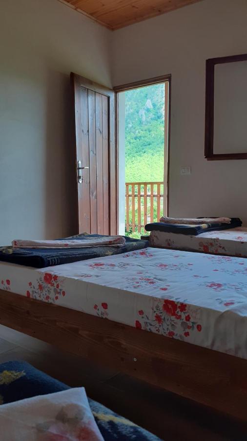 Hotel Driti Gh Nderlysa Shkodër Exteriér fotografie