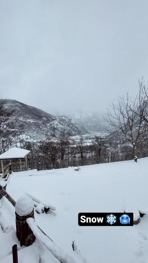 Hotel Driti Gh Nderlysa Shkodër Exteriér fotografie