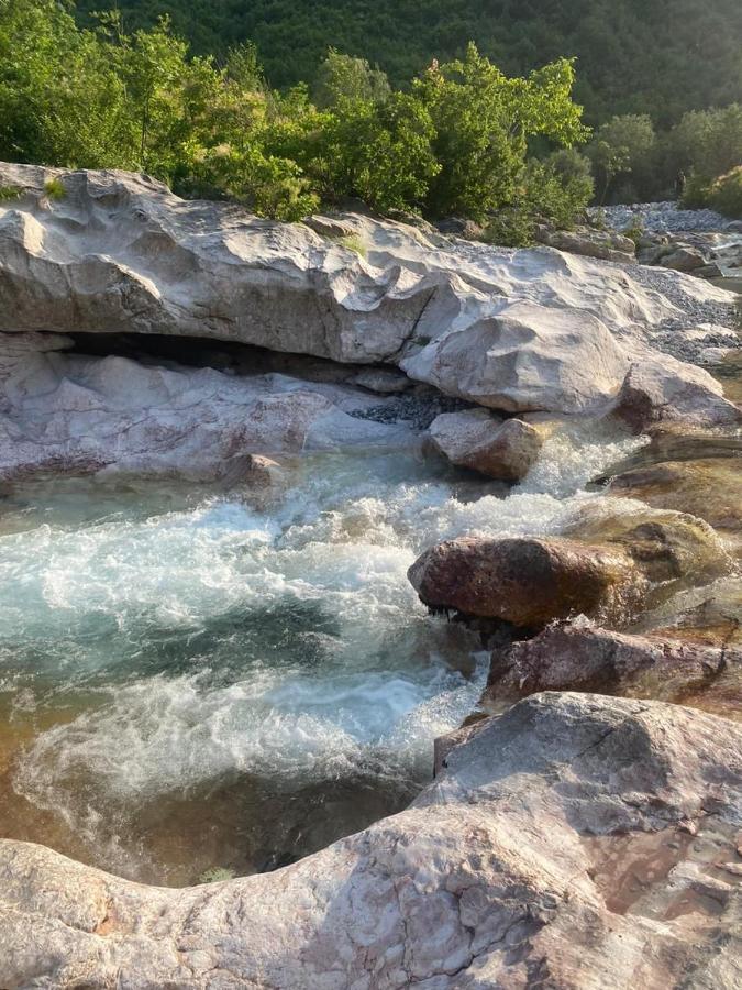 Hotel Driti Gh Nderlysa Shkodër Exteriér fotografie